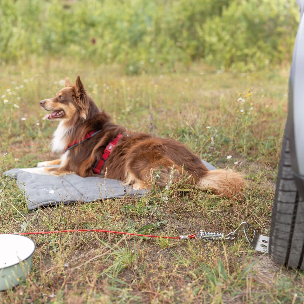 Oprijplaat Voor Aanlijnen - Image 2