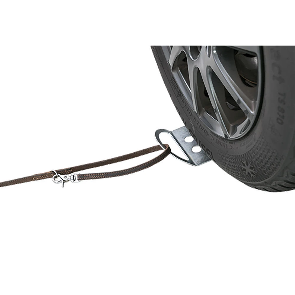 Oprijplaat Voor Aanlijnen - Image 3