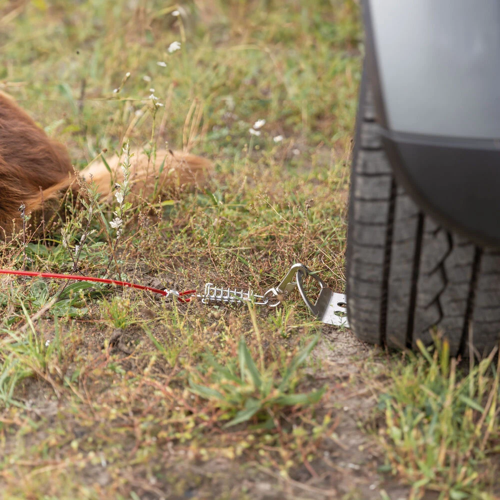 Oprijplaat Voor Aanlijnen - Image 5