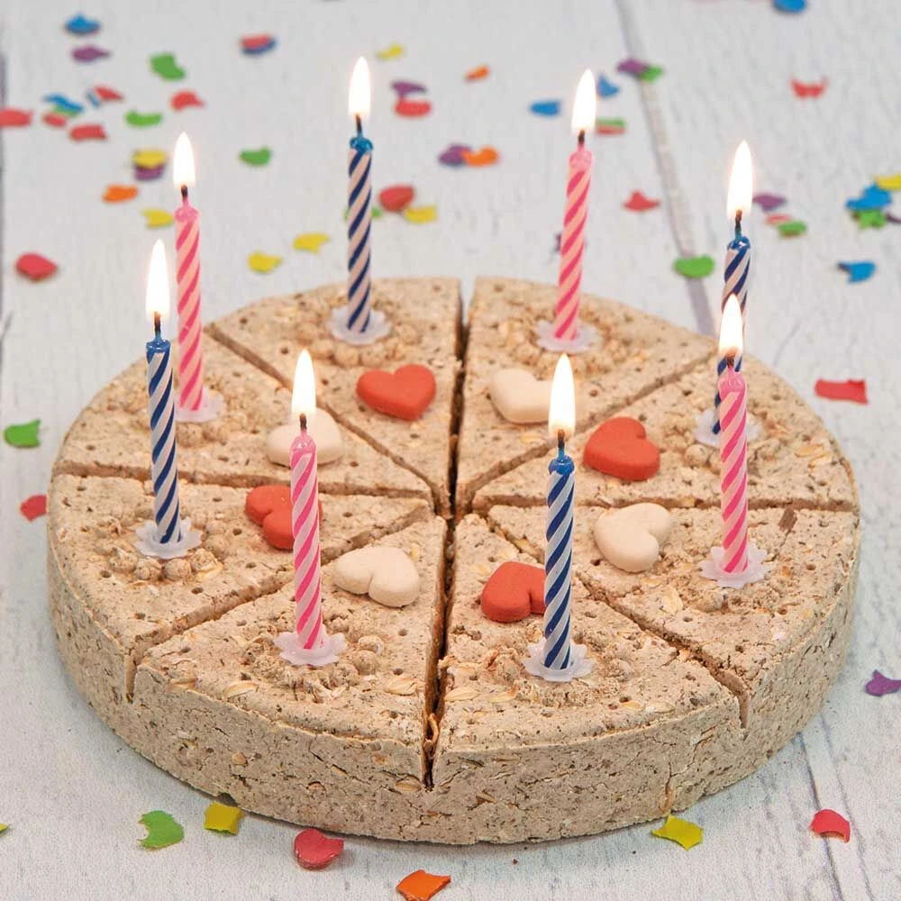 Honden-feesttaart - Image 2