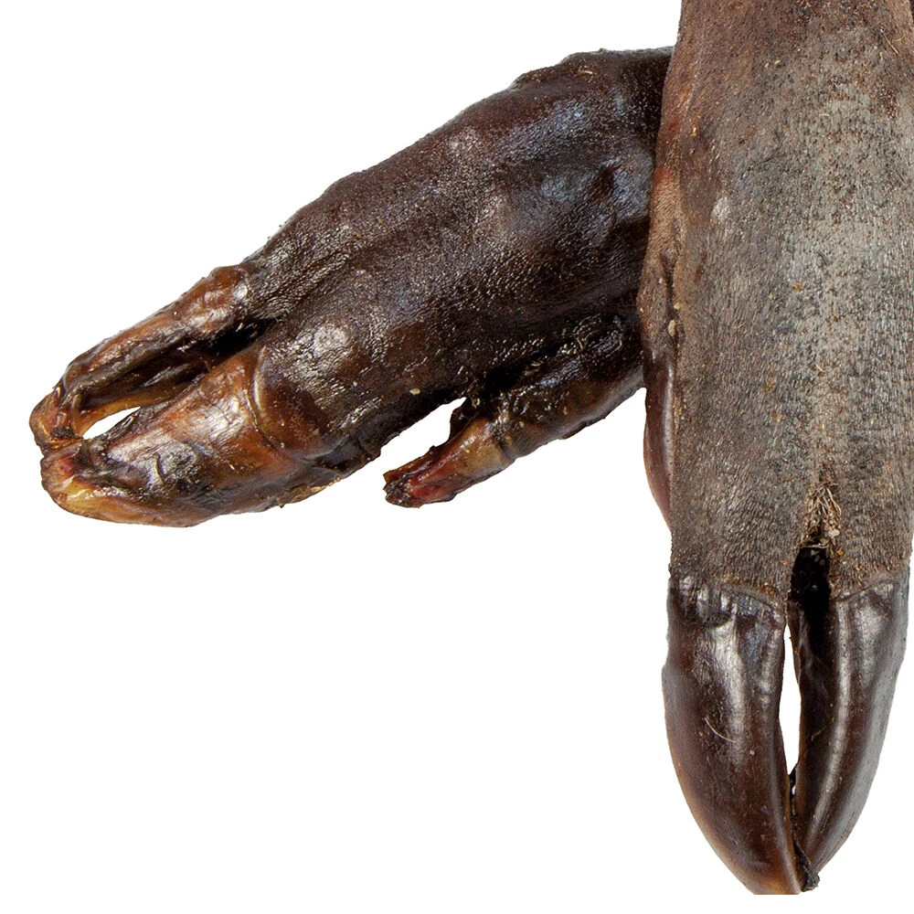 Wild Zwijn-poten - Image 2