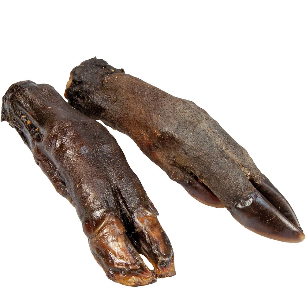 Wild Zwijn-poten - Image 3