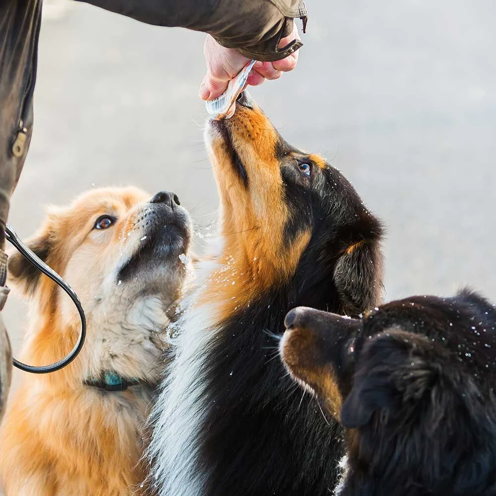 Gevogeltecrème - Image 3