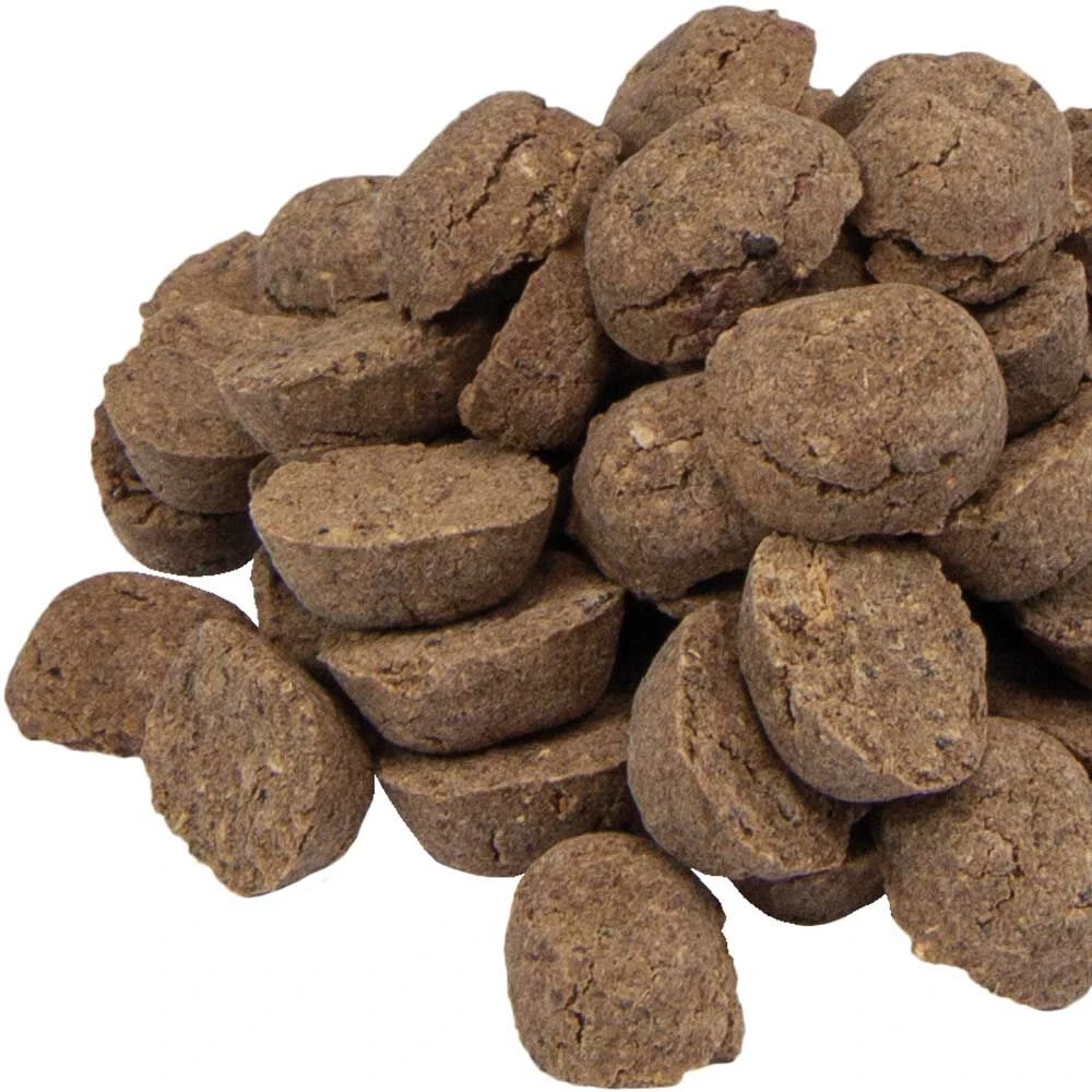 Fitness-Bits PLUS - Image 3