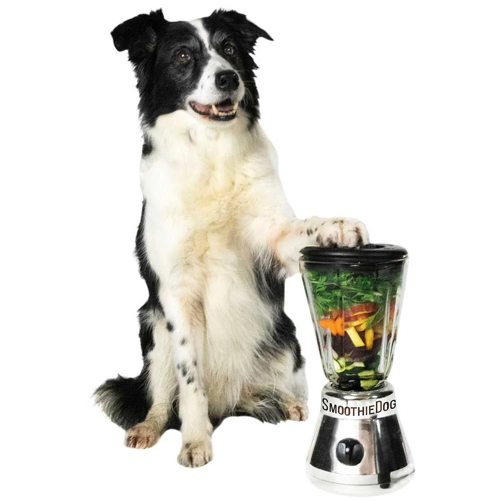 SmoothieDog Smoothies Voor Honden - Image 5