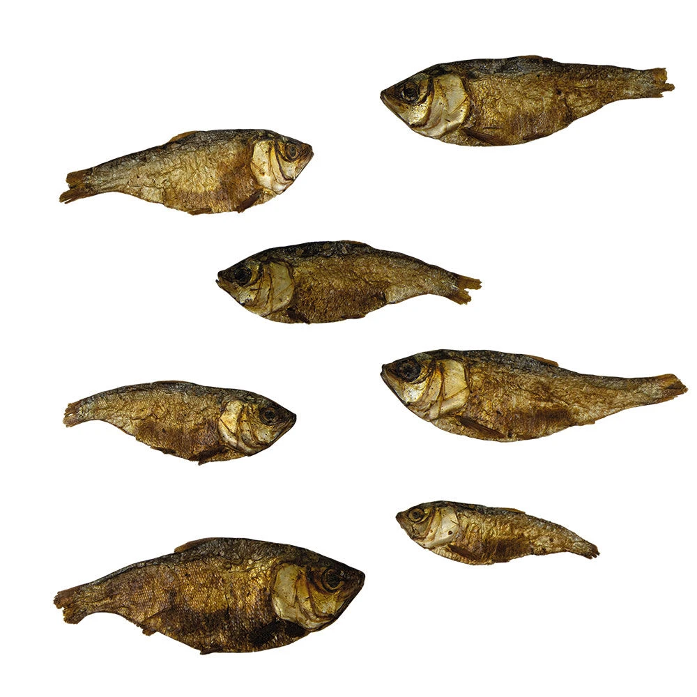 Mojarra Vissnack - Image 3