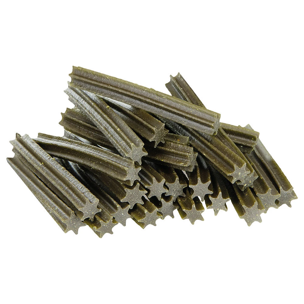 Schecker Dental Sticks - Image 4