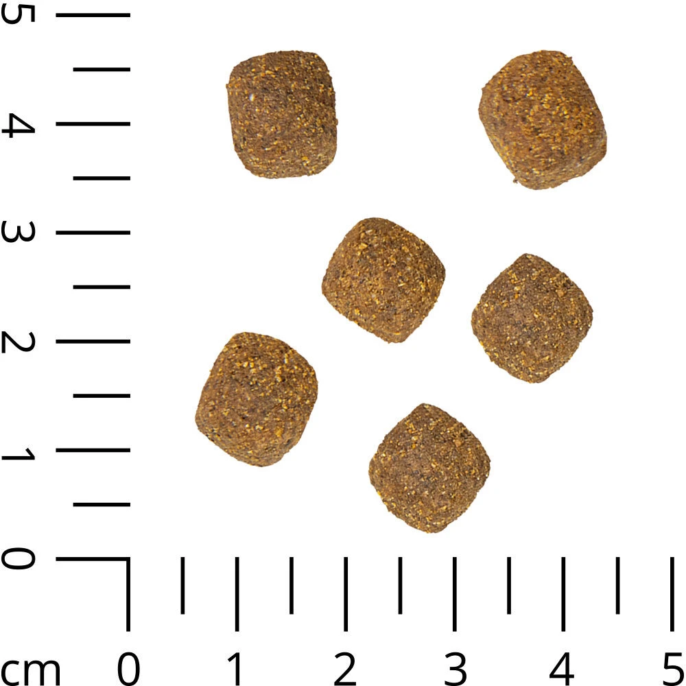 Schecker Veggie-Dry - Vegetarisch Hondenvoer - Image 3