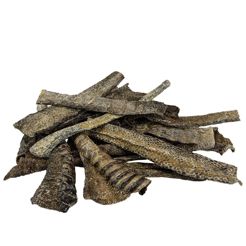 Schecker Struisvogelhuid - Image 2