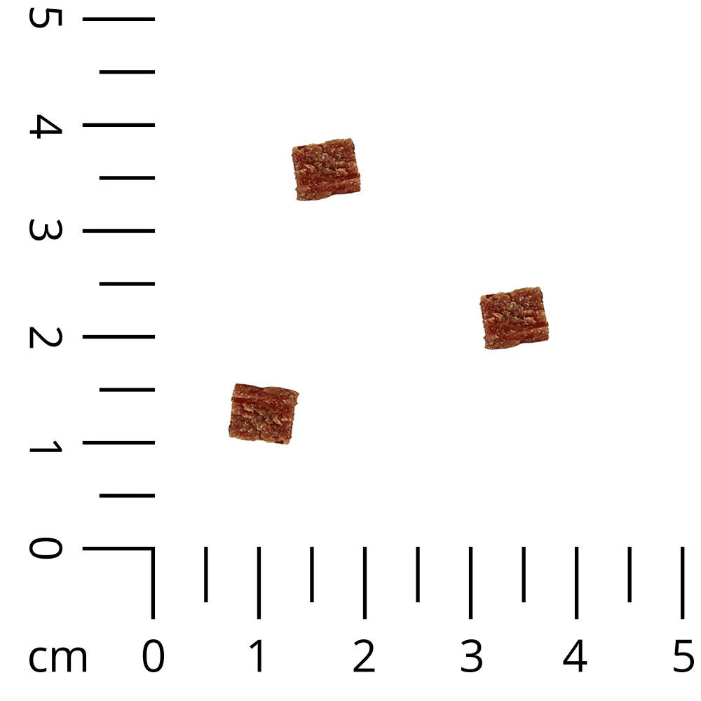 DOGTRAINERS Rund Puur - Image 2