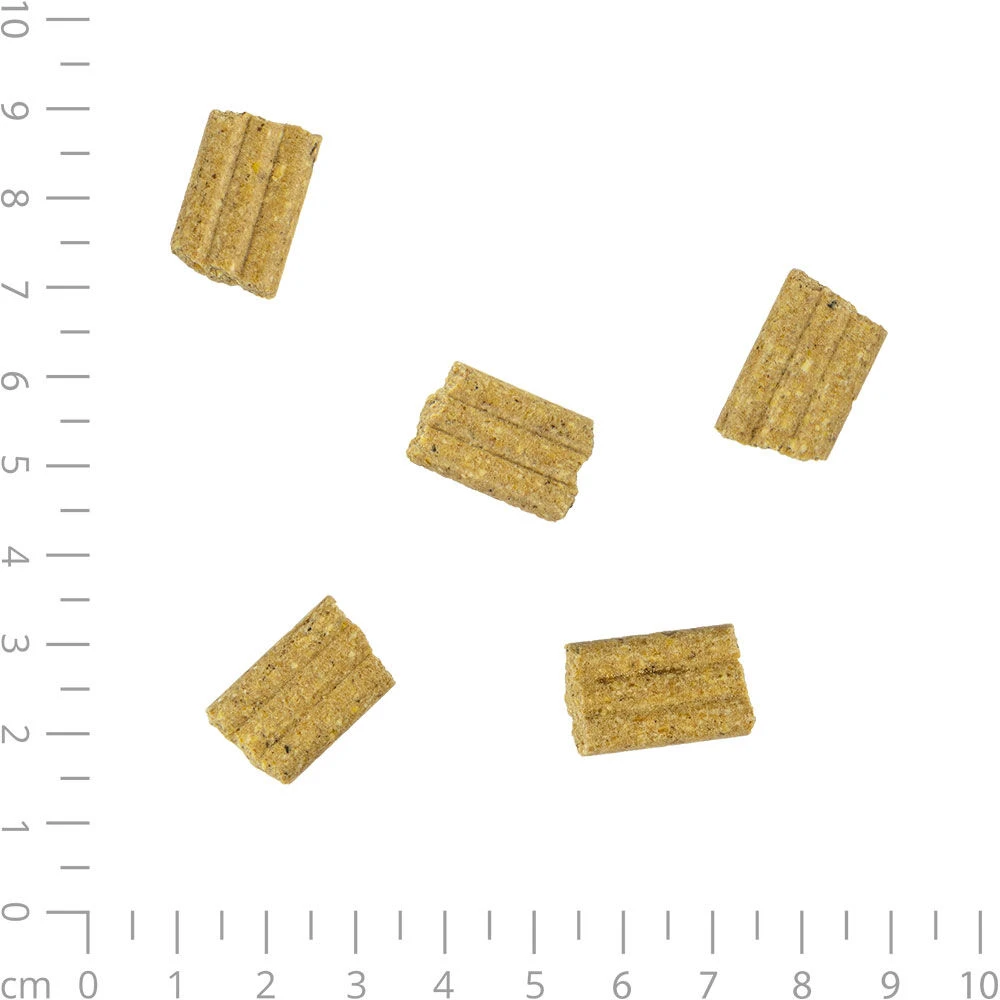 Crackers Met Struisvogel - Image 4