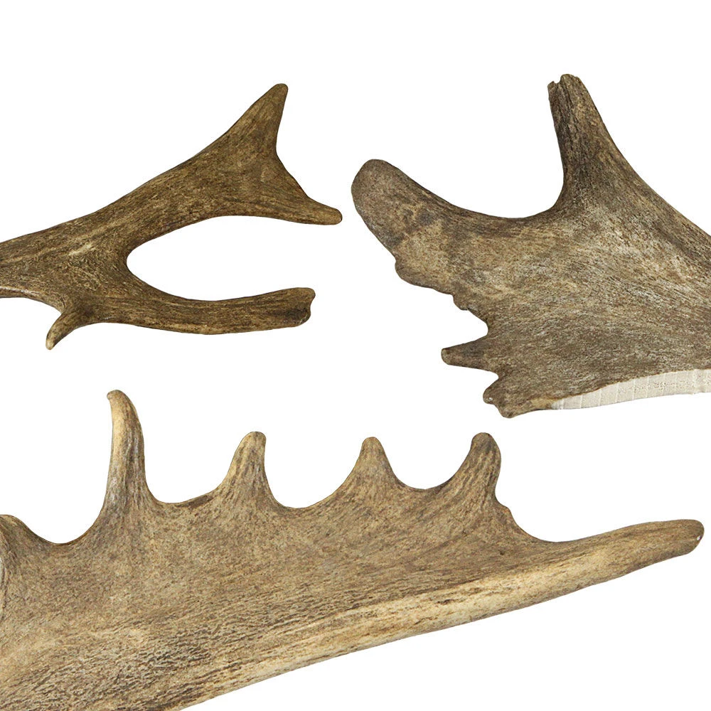 DOGREFORM Damhert-gewei-snack - Image 3