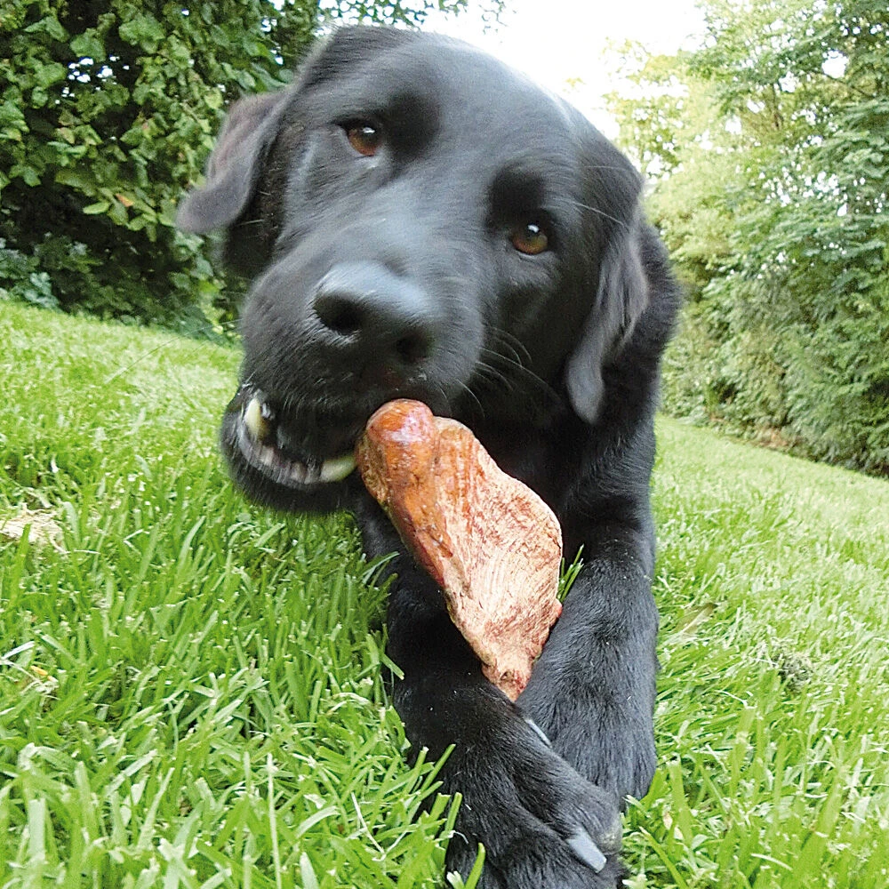 Kauwwortel - Het Duurzame Speeltje - Image 3