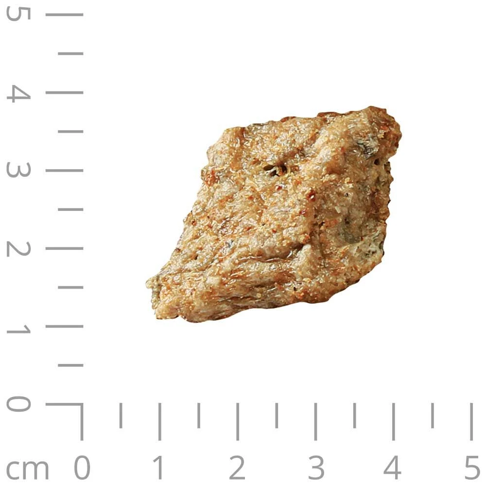 DOGREFORM Zalmsnacks - Image 3