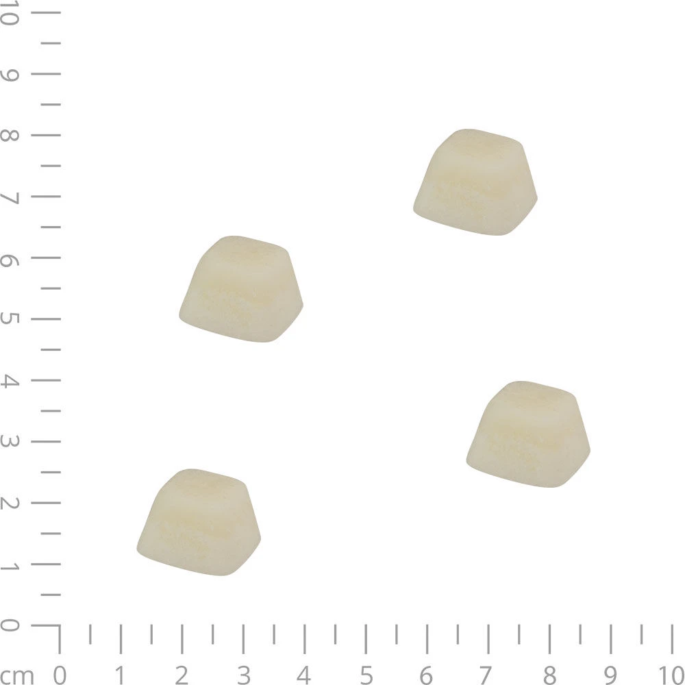 Biofood Schapenvet Bonbons met Zalm - Image 3