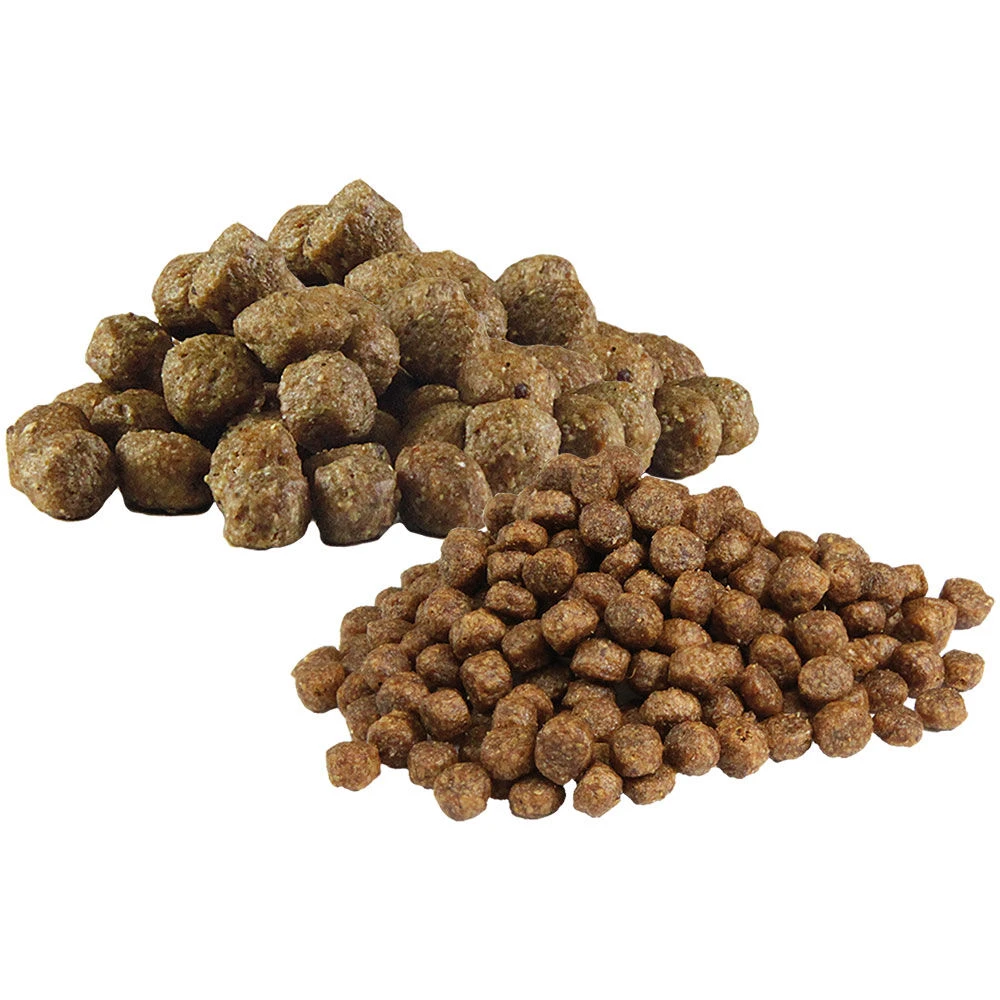 Droogvoer-probeerpakket ... Voor Pups - Image 2