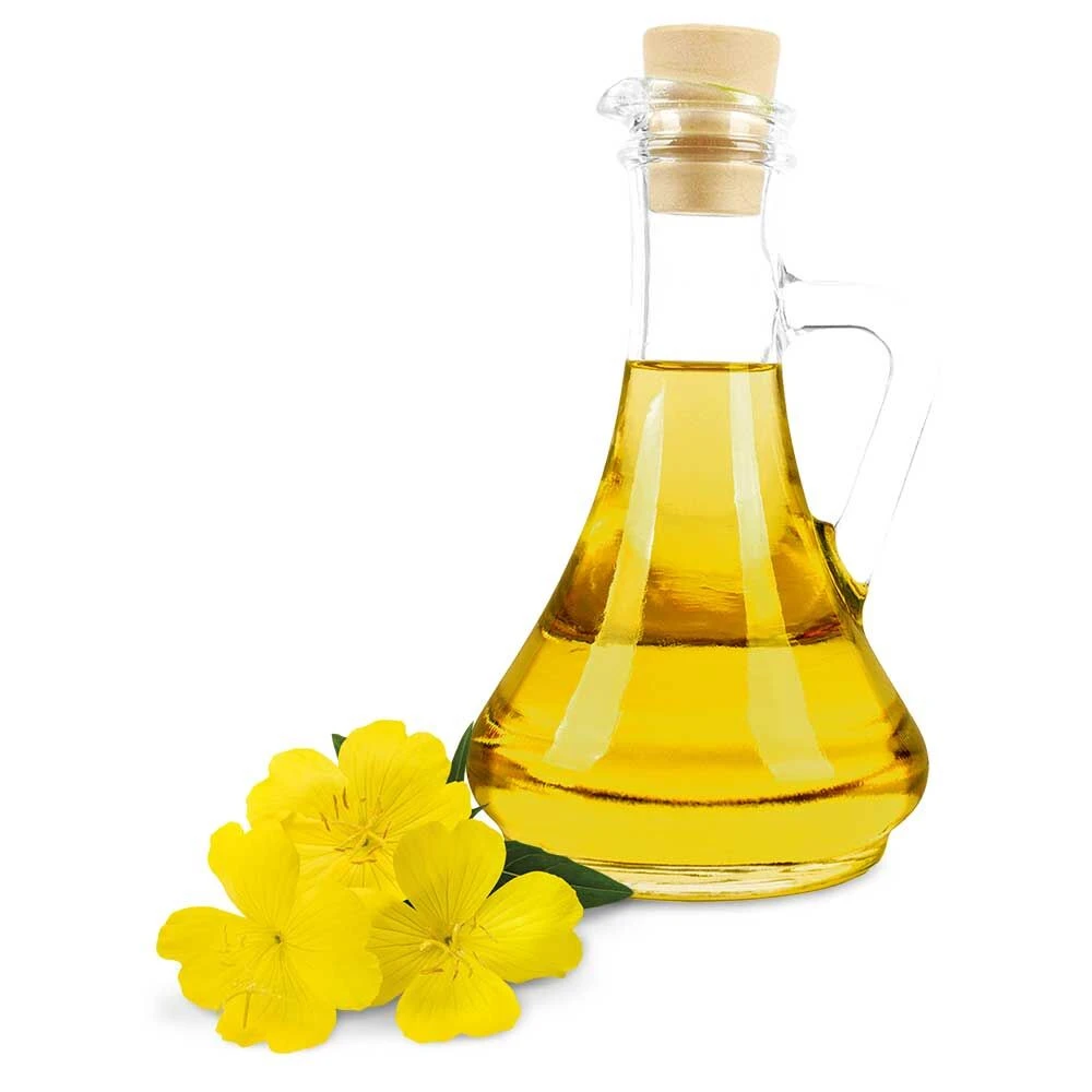 Teunisbloemolie - Image 4