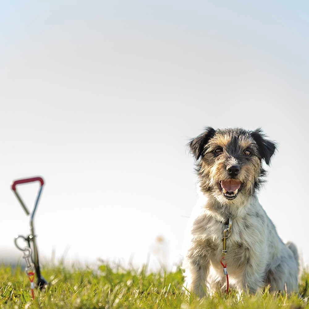 Trixie Bully-flexilijn - Image 3