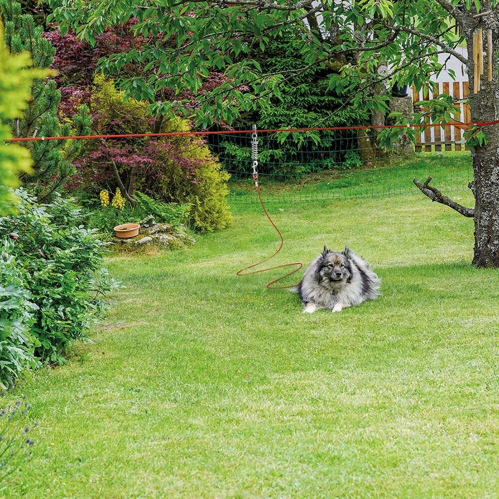 Trixie Complete Lijnset - Image 3