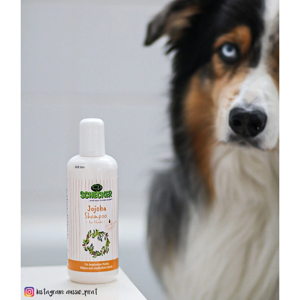 Schecker Jojoba-shampoo - Image 3
