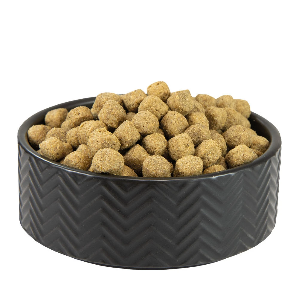 Keramieken Voerbak ZigZag - Image 2