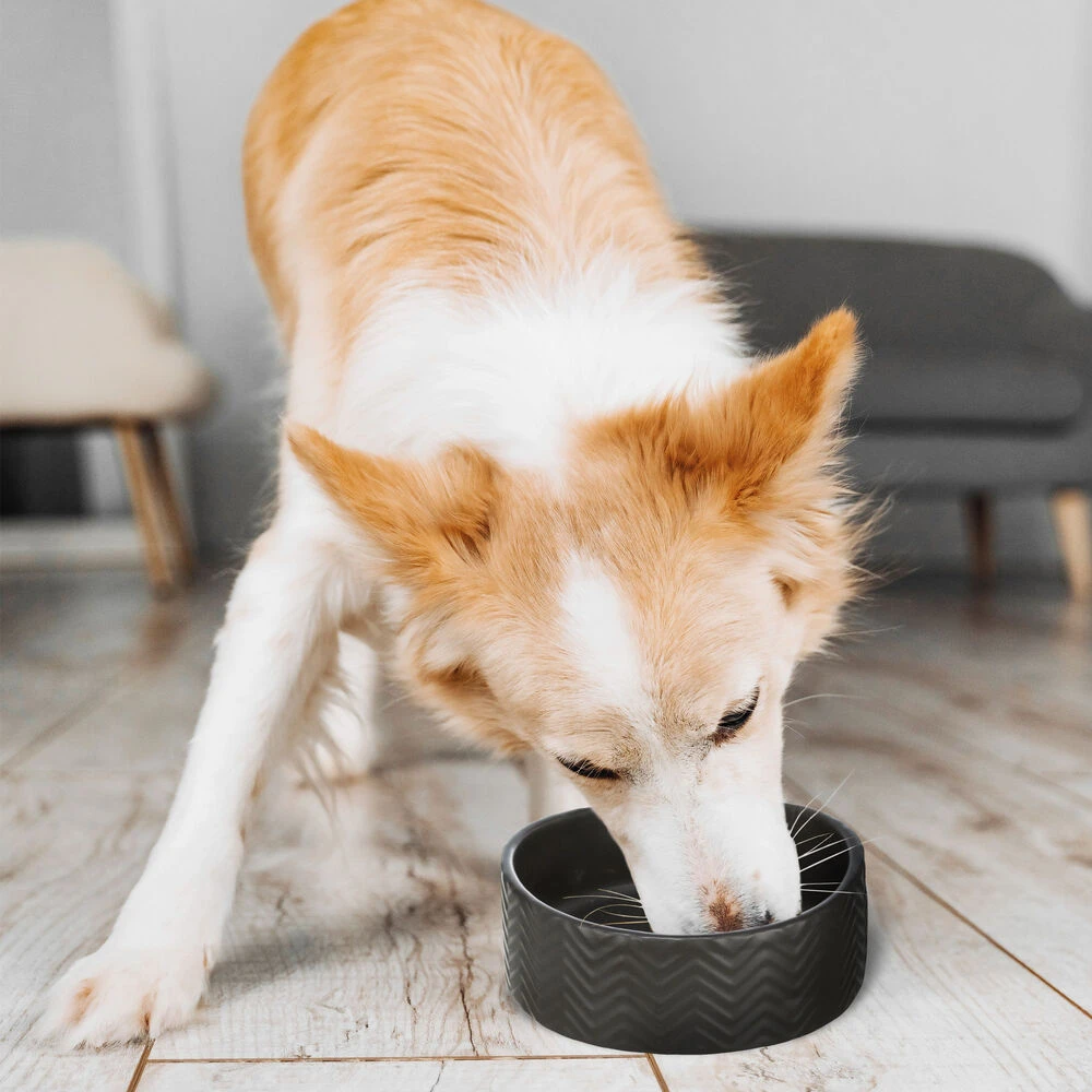 Keramieken Voerbak ZigZag - Image 3