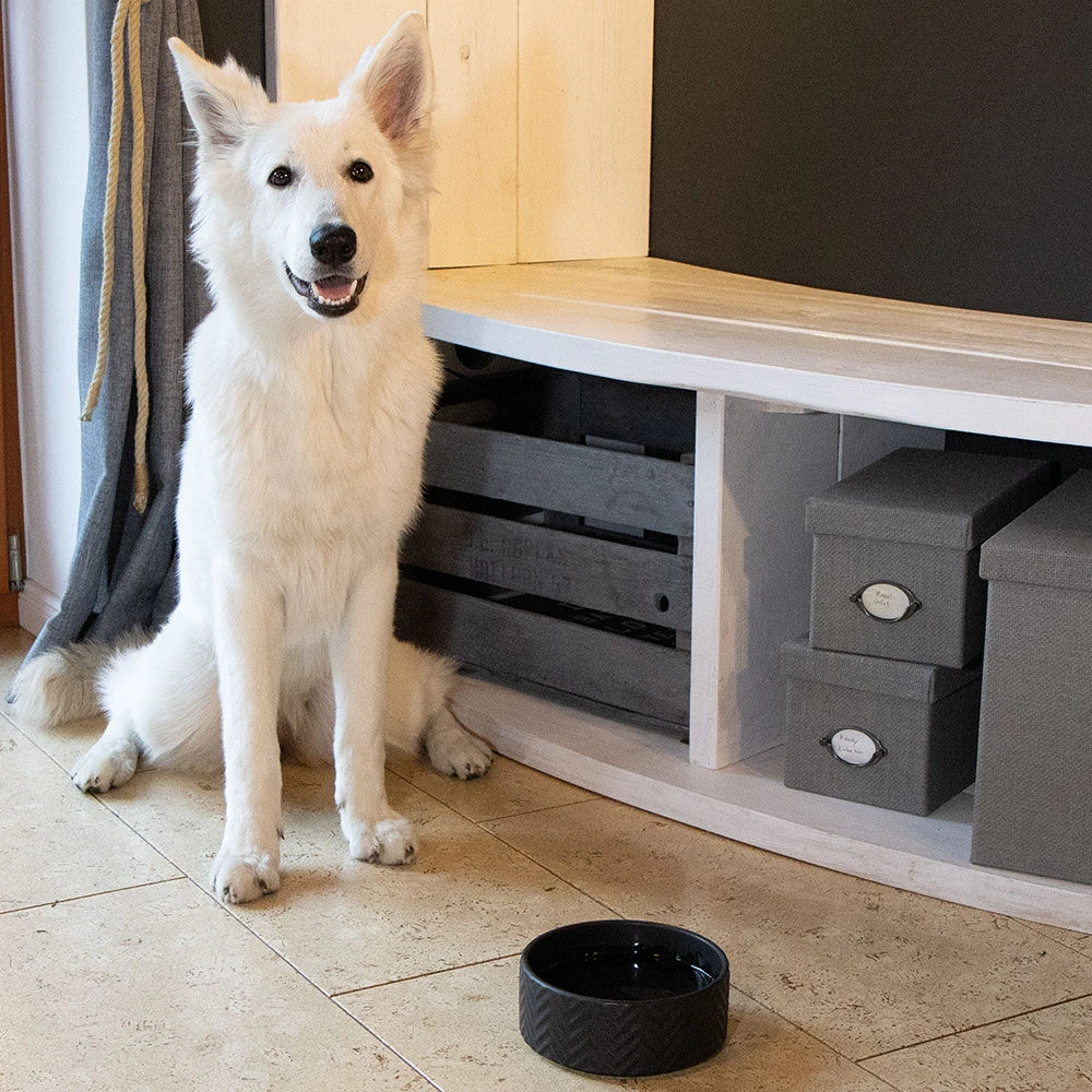 Keramieken Voerbak ZigZag - Image 5