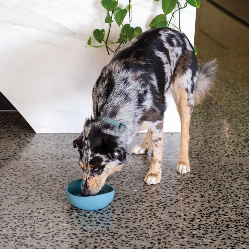 FuzzYard LIFE Siliconen Voerbak - Image 2