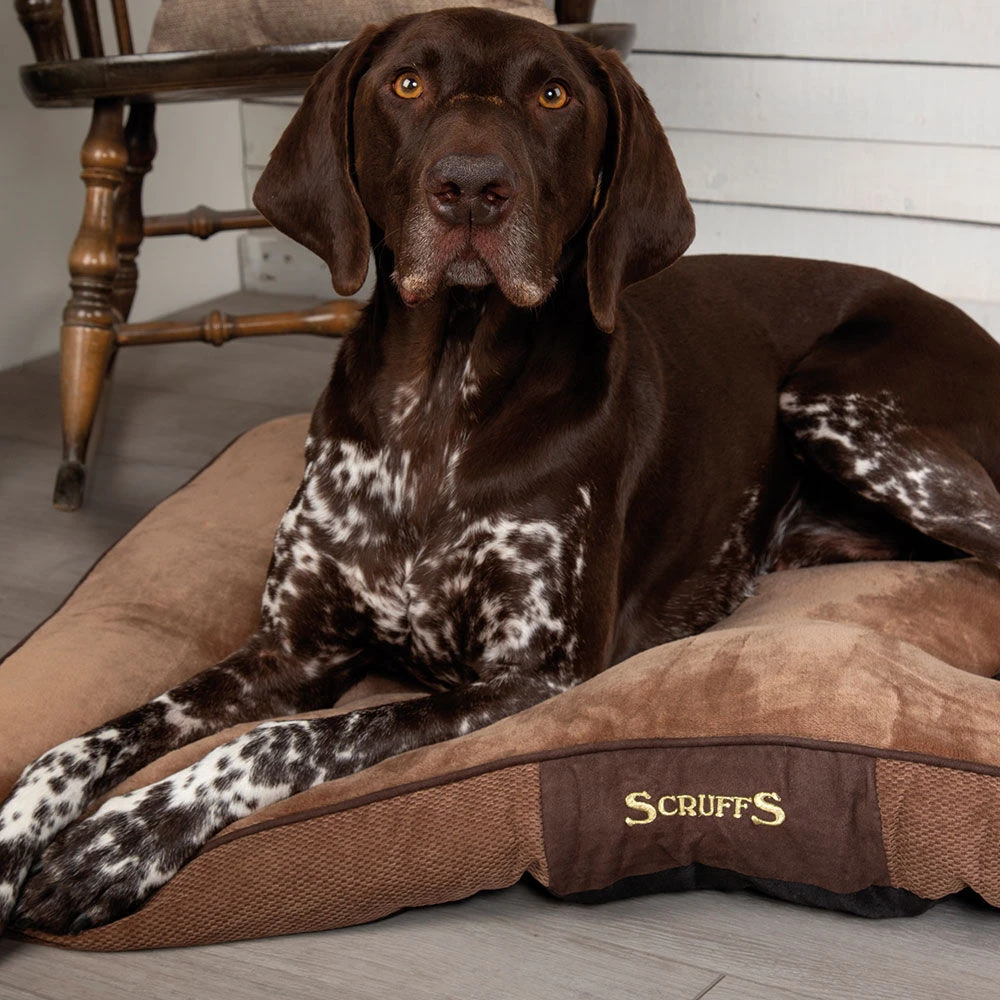 Hondenkussen Scruffs® Chester - Chocolate - - Image 4