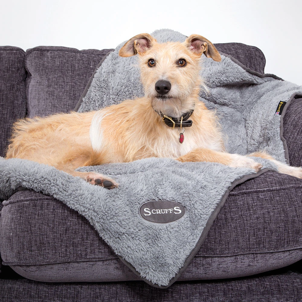 Scruffs® Cosy Hondendeken - Image 3
