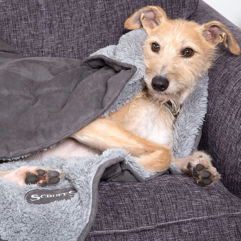 Scruffs® Cosy Hondendeken - Image 4