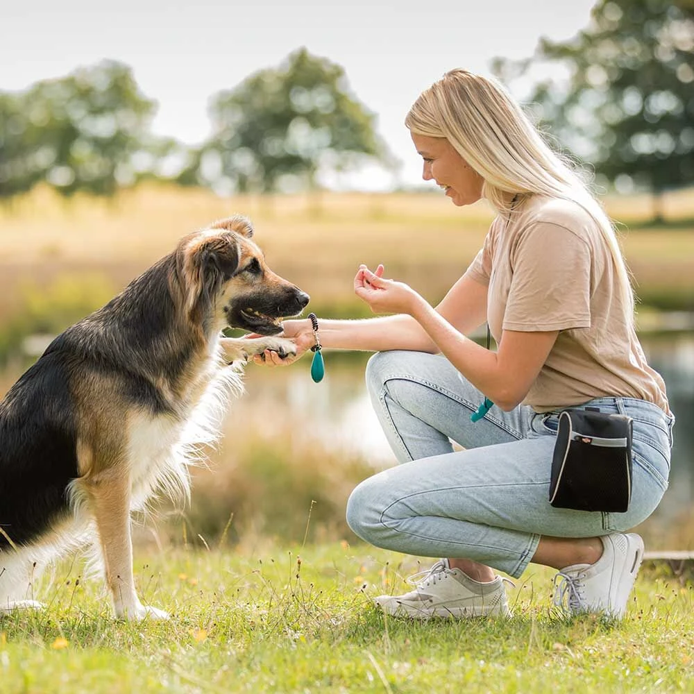 Snacktasje Met Magneetsluiting - Image 2