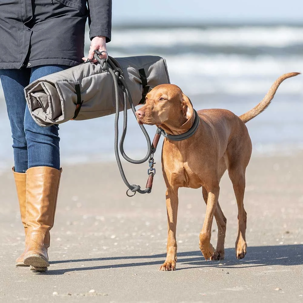 Hondendeken BE NORDIC Moin - Image 3