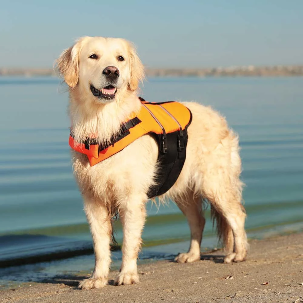 Reddingsvest - Image 2