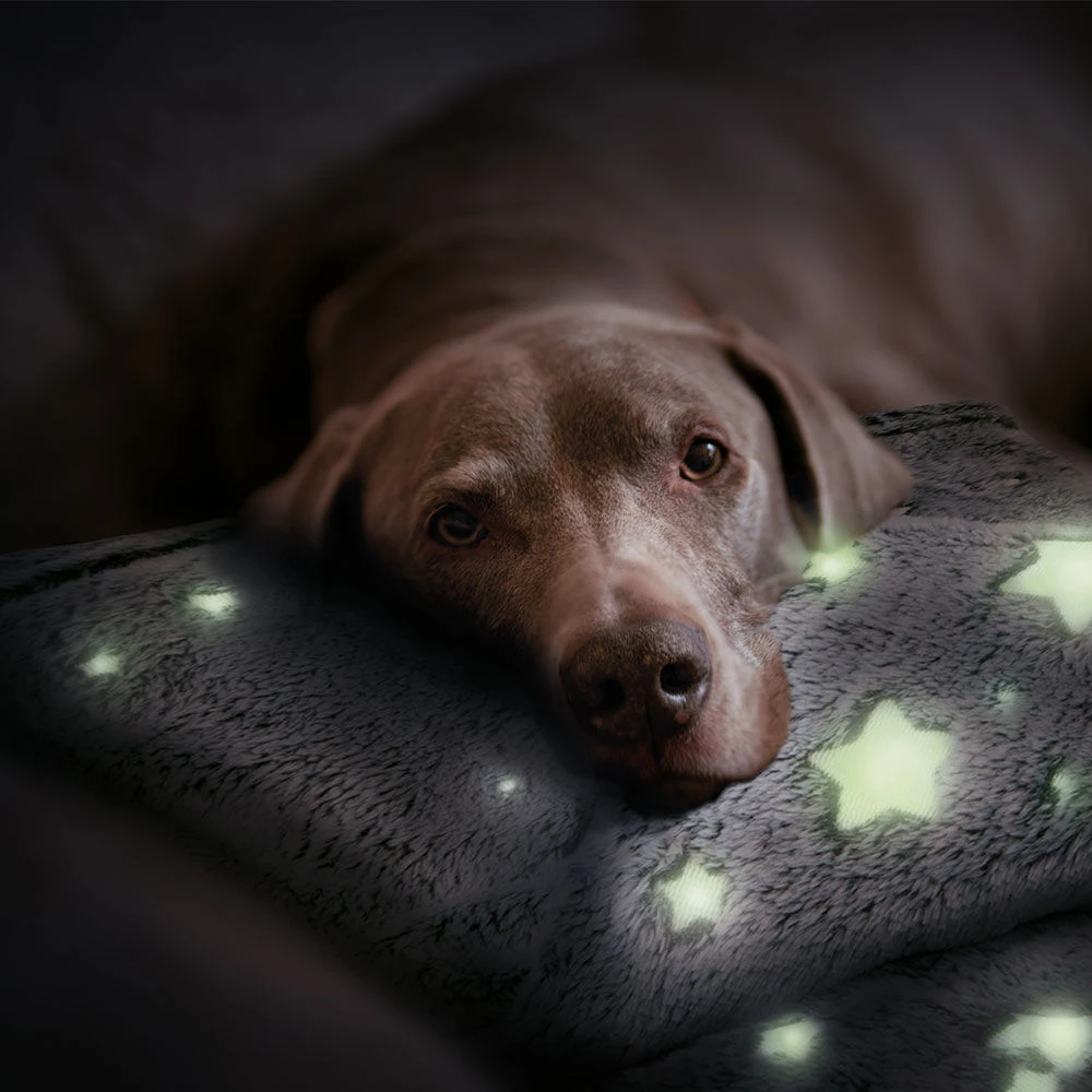 Lichtdeken Sterrenhemel - Image 4