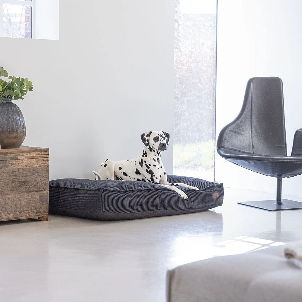 Designed By Lotte Hondenkussen Ribbed - Image 3