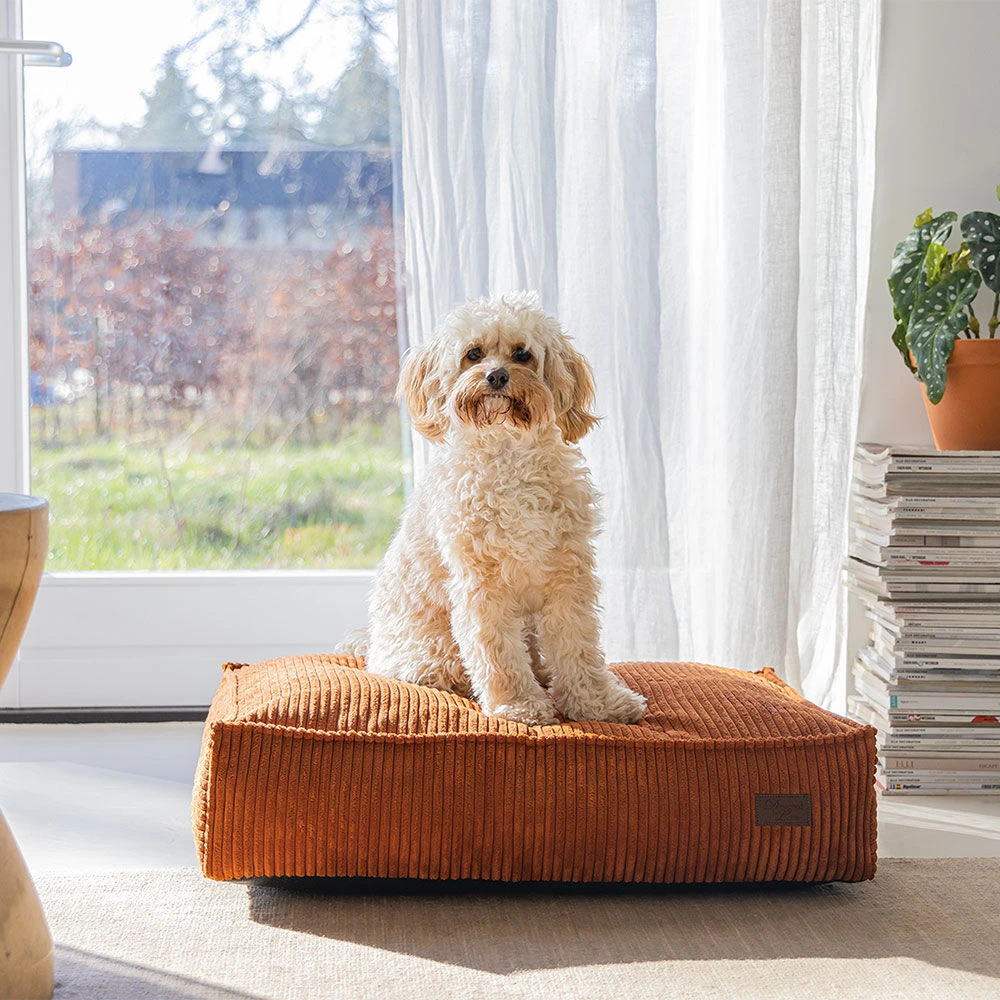 Designed By Lotte Hondenkussen Ribbed - Image 4