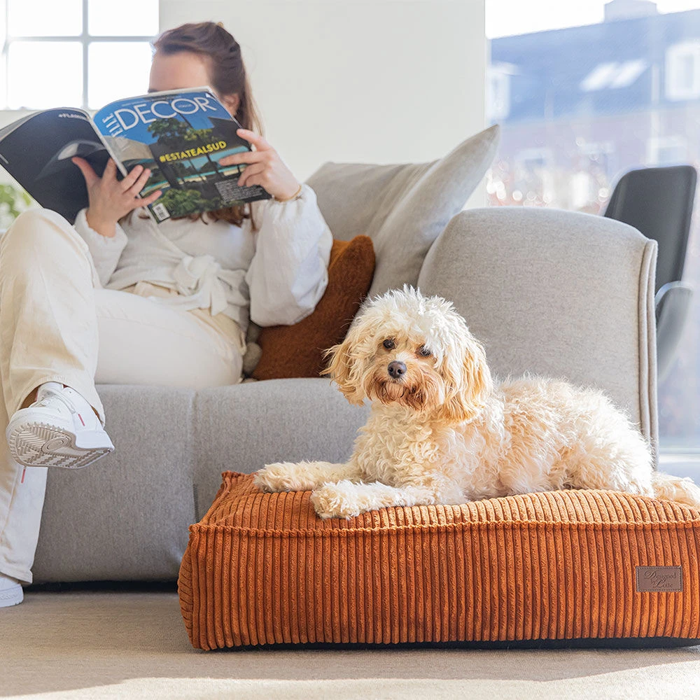 Designed By Lotte Hondenkussen Ribbed - Image 5