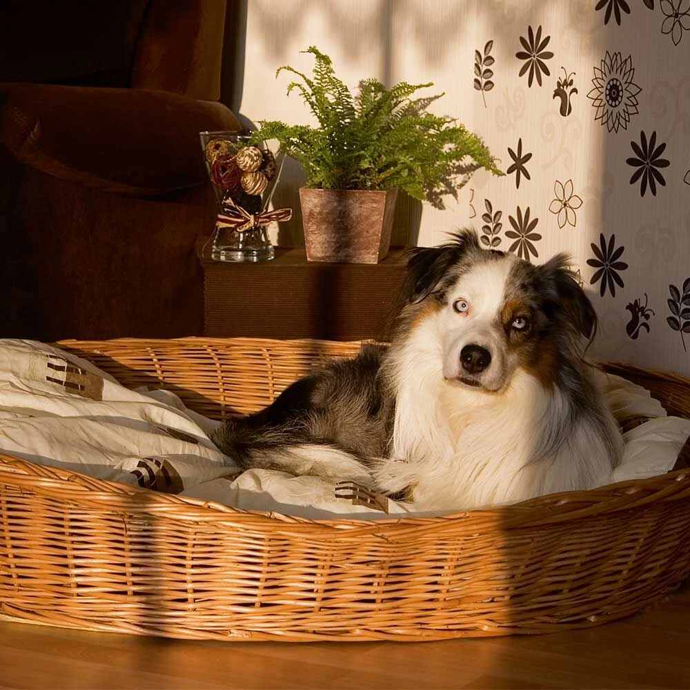 Gevlochten Manden - Image 3