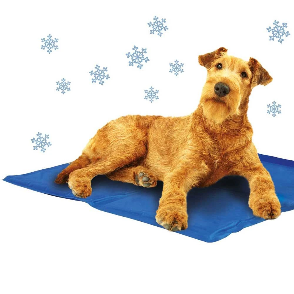 koelmatt Voor Honden - Blauw - - Image 2