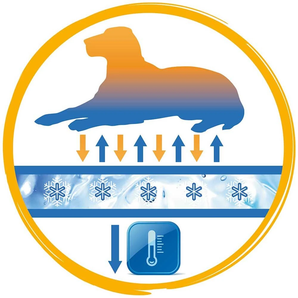 koelmatt Voor Honden - Blauw - - Image 3