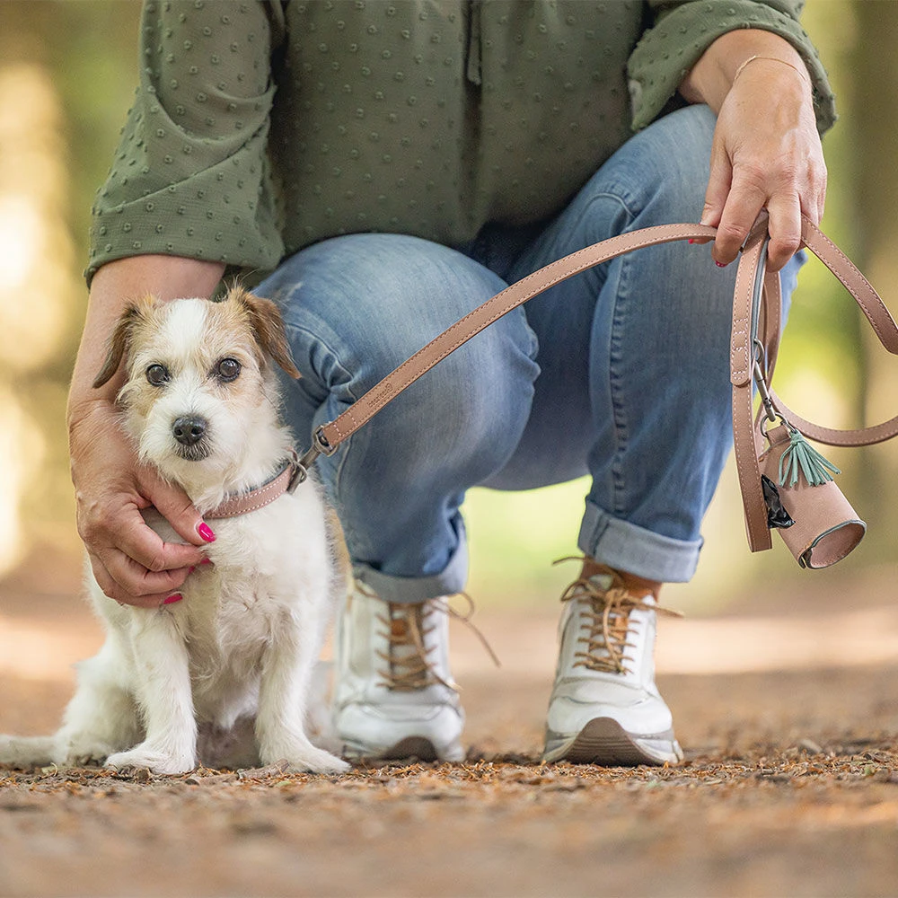 Beeztees Balacron Poepzakdispenser - Image 2