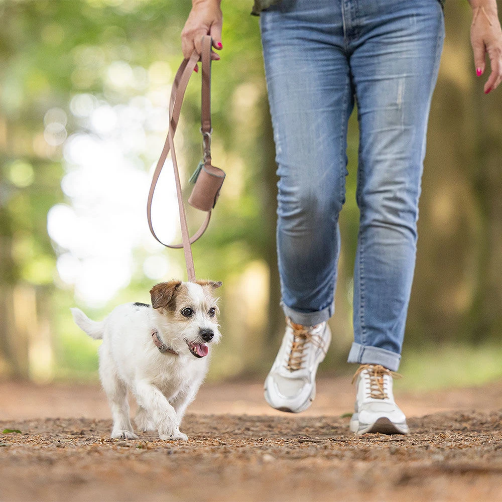 Beeztees Balacron Poepzakdispenser - Image 5