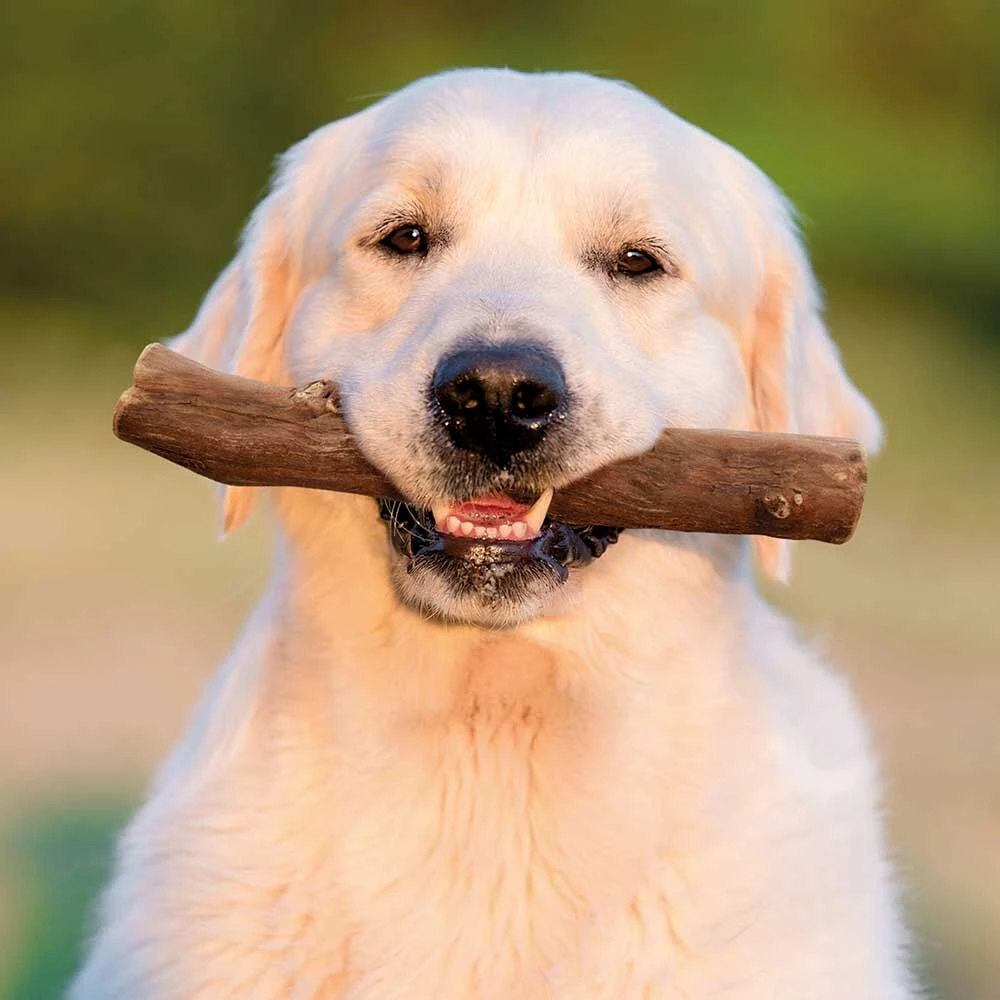 Landglut® Hondenspeelgoed Knorzi® - Image 4