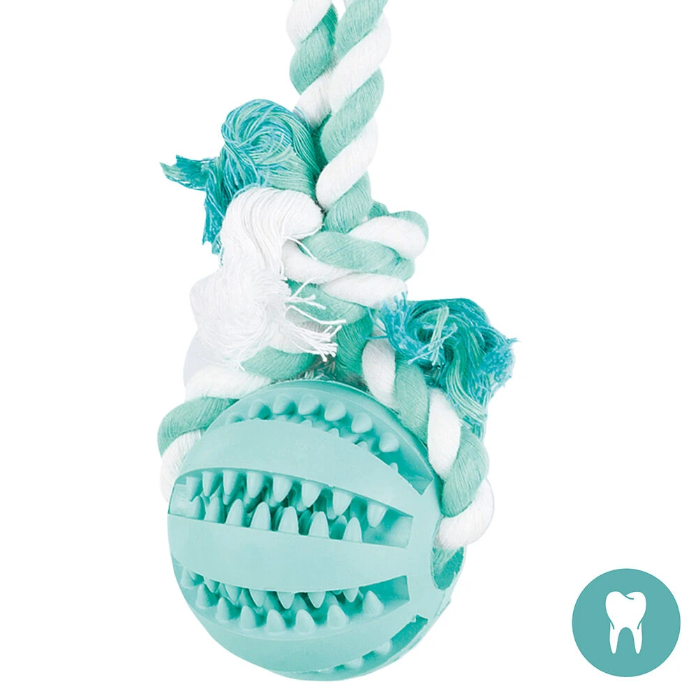 Tandverzorgingsbal Met Touw - Image 2