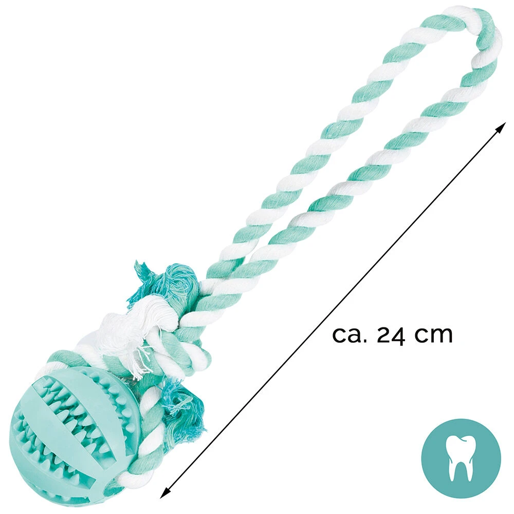 Tandverzorgingsbal Met Touw - Image 3