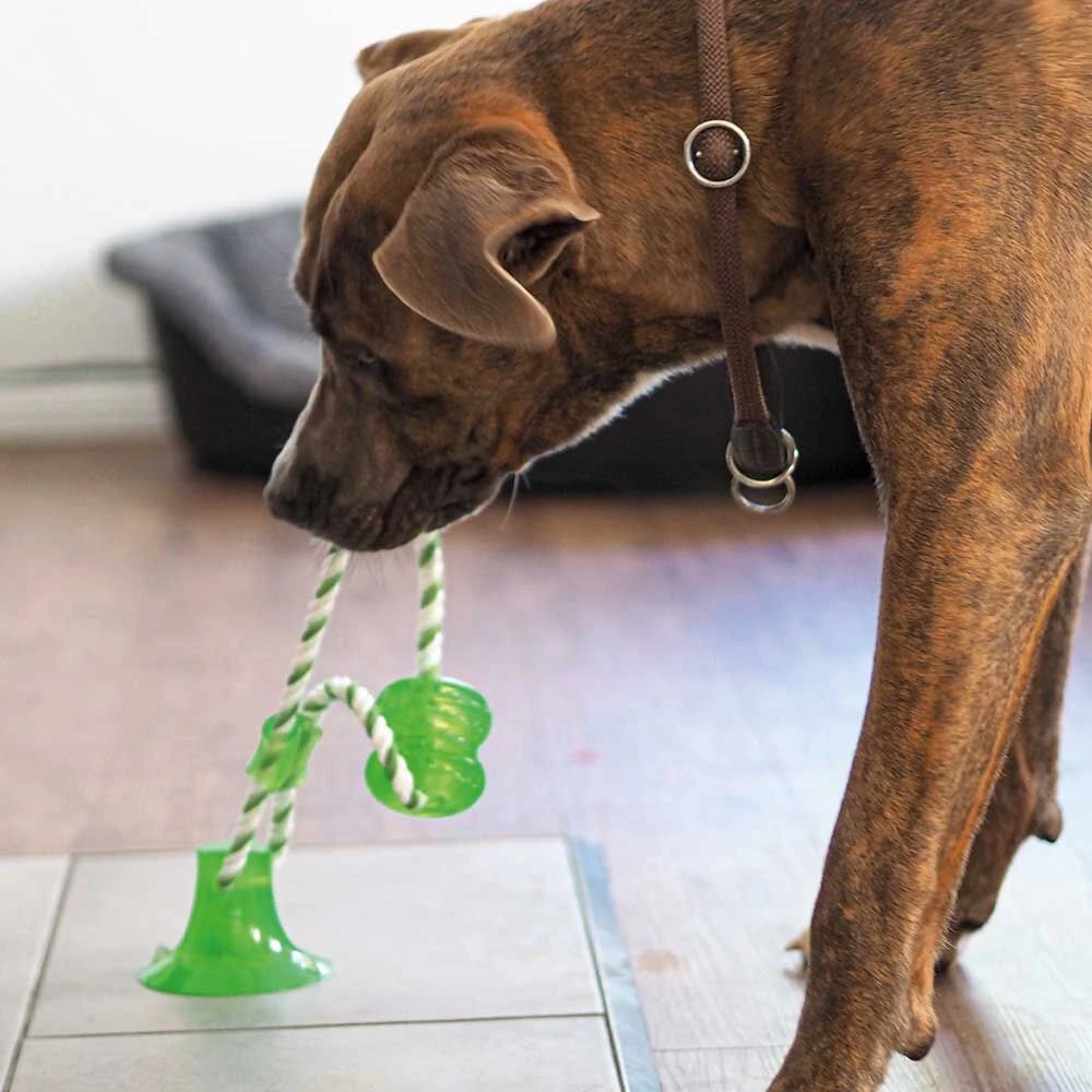 Zuignap-Zerri - Image 2