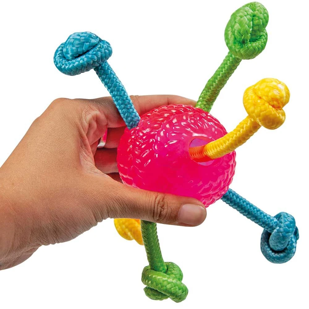 Bal Met Touwen - Image 3