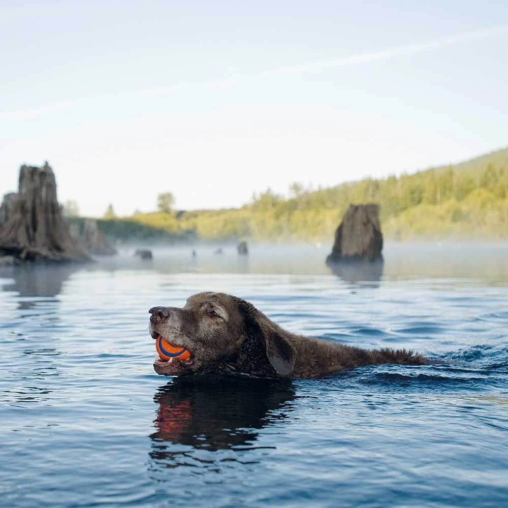 Chuckit Ultra Bal - Image 3