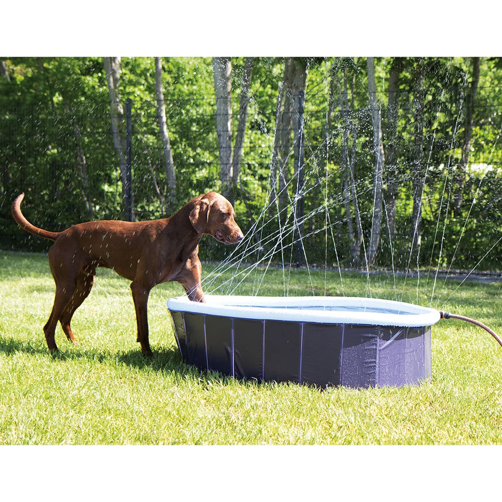 2-in-1 Splash Pool - Image 2